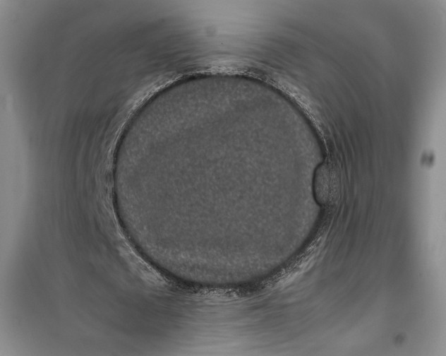 X0000100190673200806131208