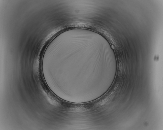 X0000100190674200806131208