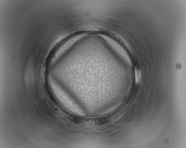 X0000100190675200806131208