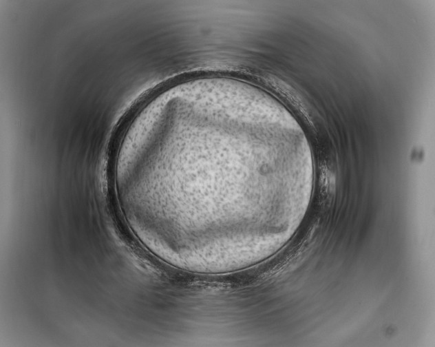 X0000100190676200806131208