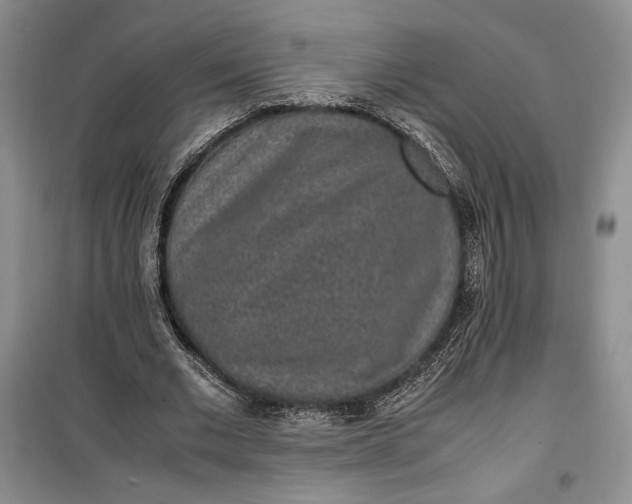 X0000100190677200806131208