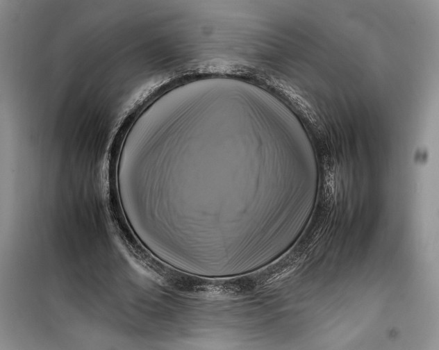 X0000100190678200806131208