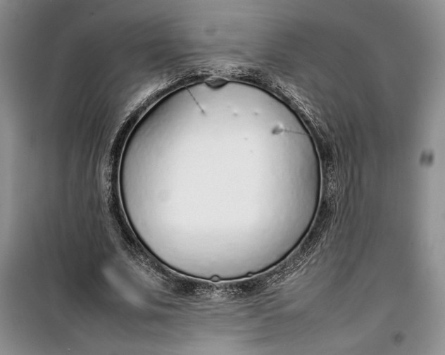 X0000100190679200806131208