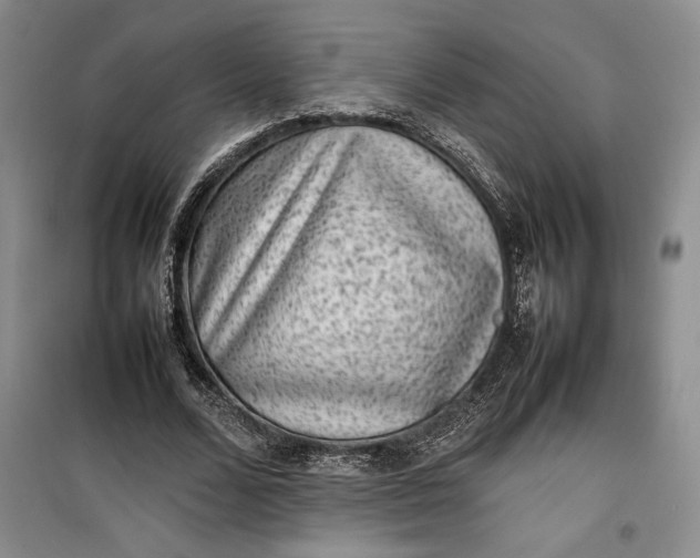 X0000100190680200806131208