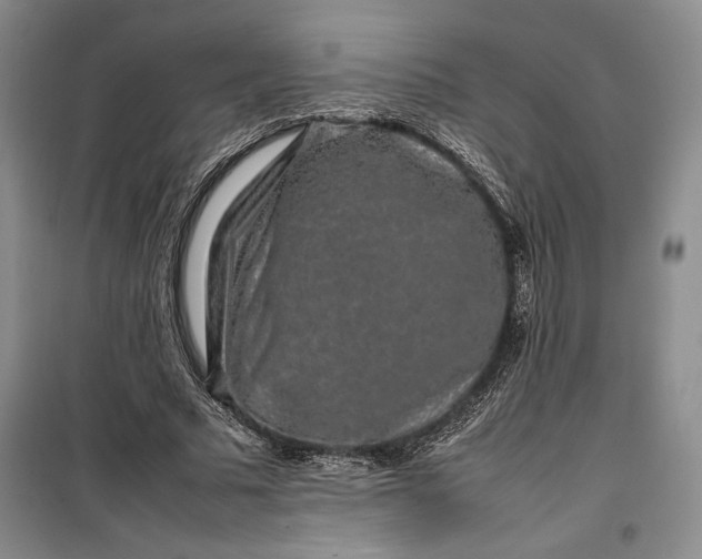 X0000100190681200806131208