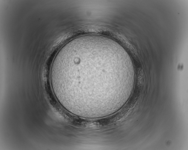 X0000100190683200806131208