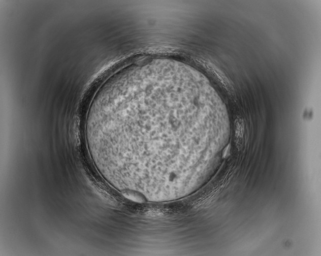 X0000100190684200806131208