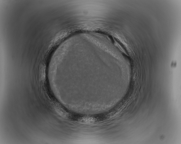 X0000100190685200806131208