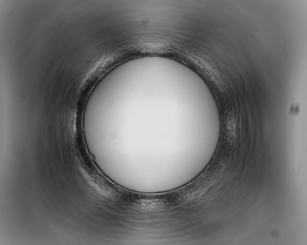 X0000100190686200806131208