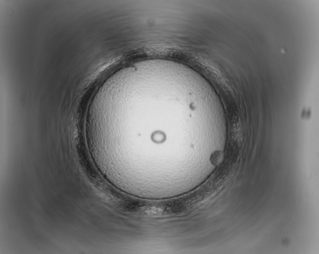 X0000100190687200806131208