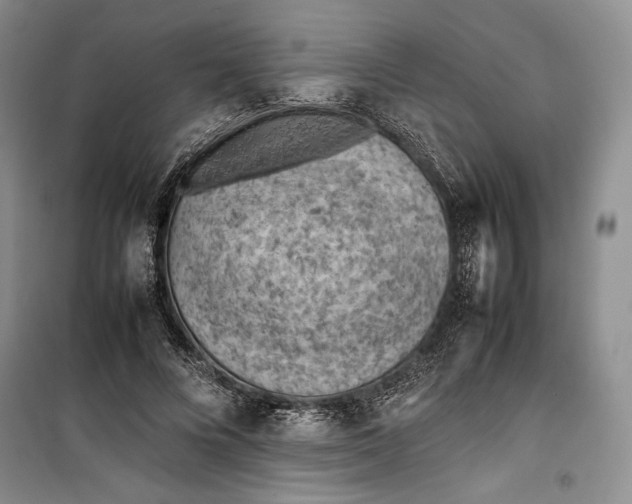 X0000100190688200806131208