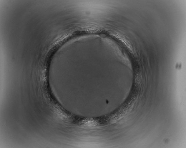 X0000100190689200806131208