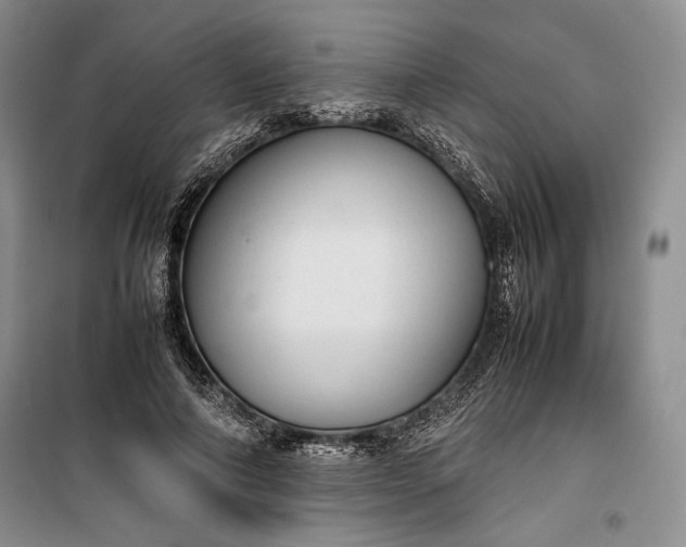 X0000100190690200806131208