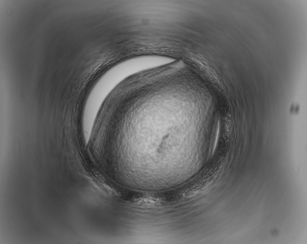 X0000100190691200806131208