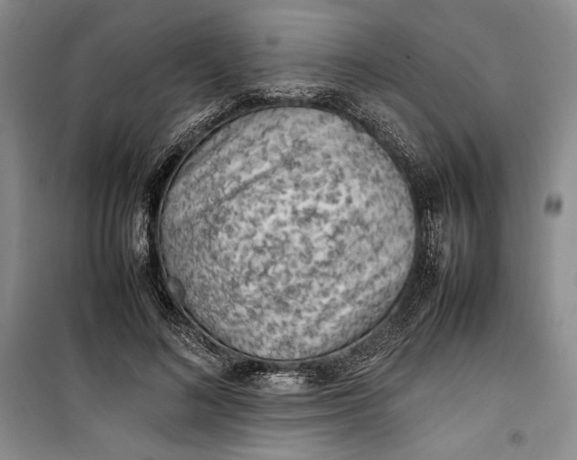 X0000100190692200806131208