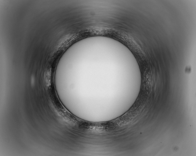 X0000100190694200806131208