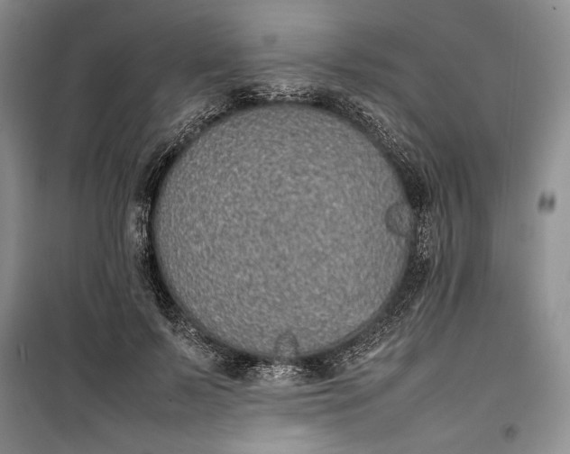 X0000100190695200806131208