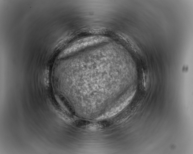 X0000100190696200806131208