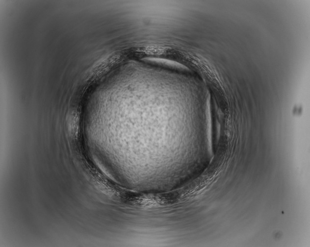 X0000100190697200806131208