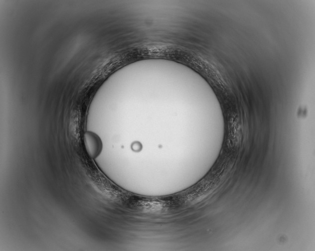 X0000100190698200806131208