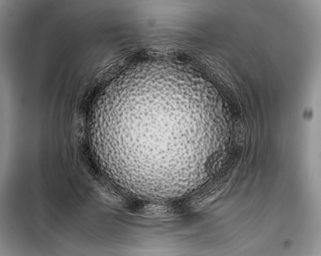 X0000100190699200806131208