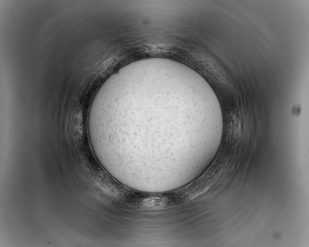 X0000100190700200806131208