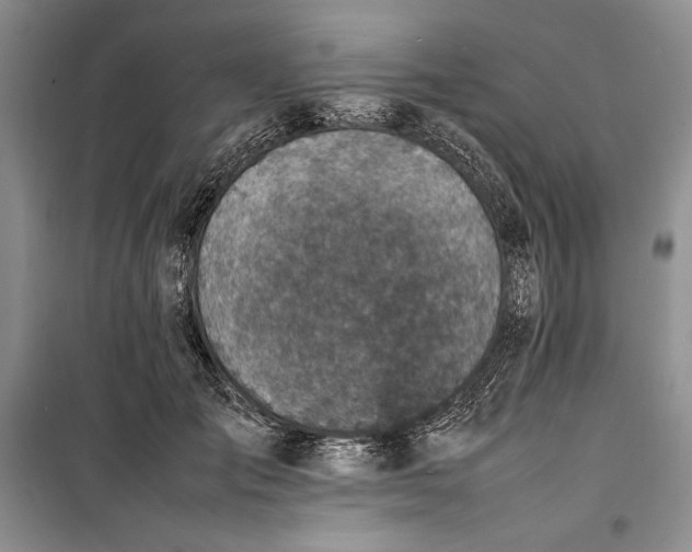 X0000100190701200806131208