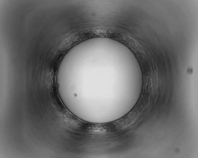 X0000100190702200806131208