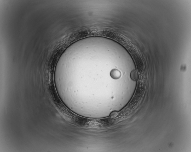 X0000100190703200806131208