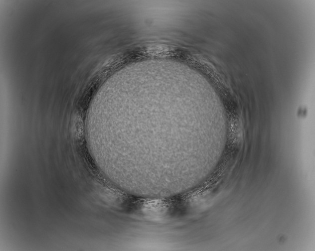 X0000100190705200806131208