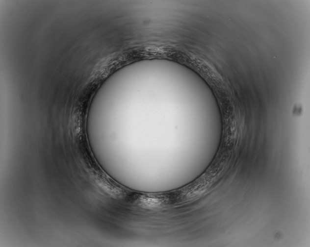 X0000100190706200806131208