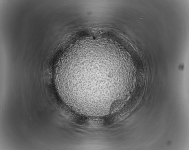 X0000100190707200806131208