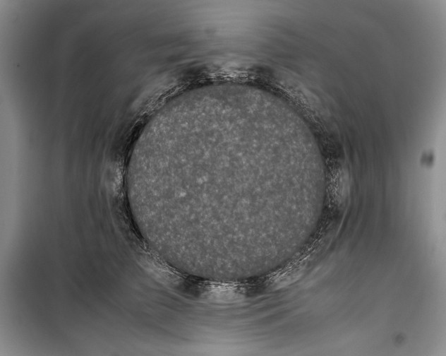 X0000100190709200806131208