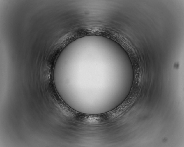 X0000100190710200806131208