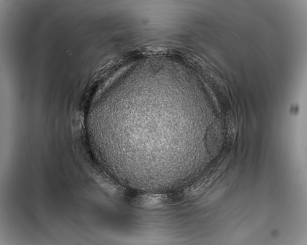 X0000100190711200806131208