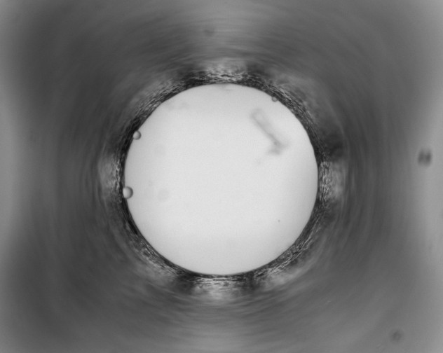 X0000100190713200806131207