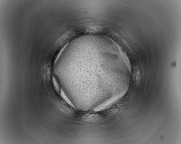 X0000100190716200806131207