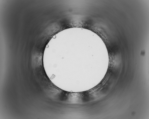 X0000100190717200806131207