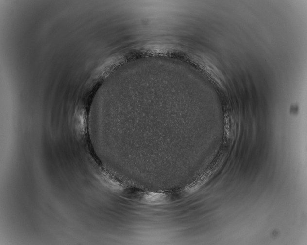 X0000100190718200806131207