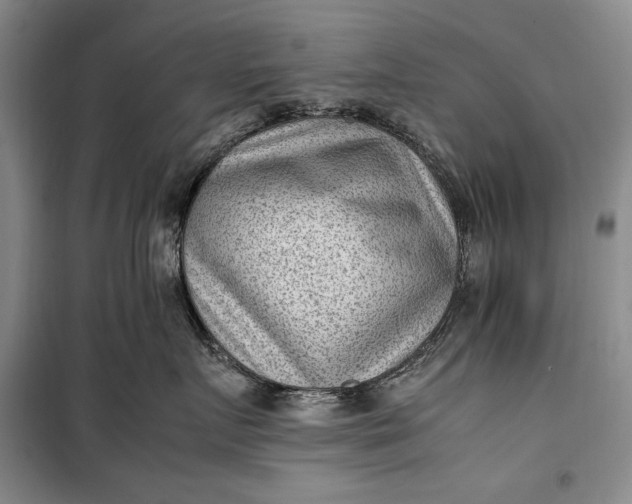 X0000100190719200806131207