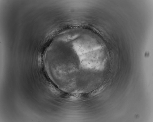 X0000100190720200806131207