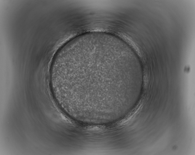 X0000100190721200806131207