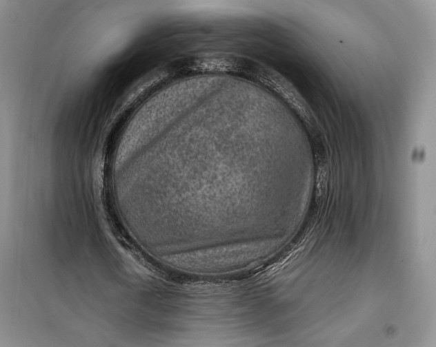 X0000100190722200806131207