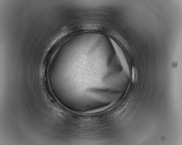 X0000100190723200806131207