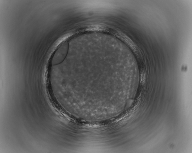 X0000100190724200806131207