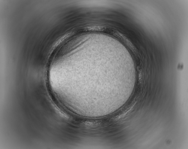 X0000100190725200806131207