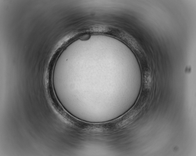 X0000100190726200806131207