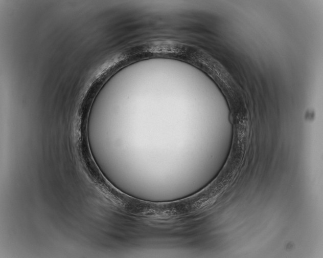 X0000100190727200806131207