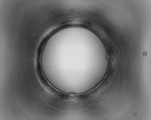 X0000100190728200806131207