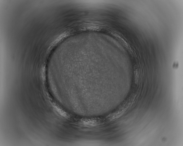 X0000100190729200806131207